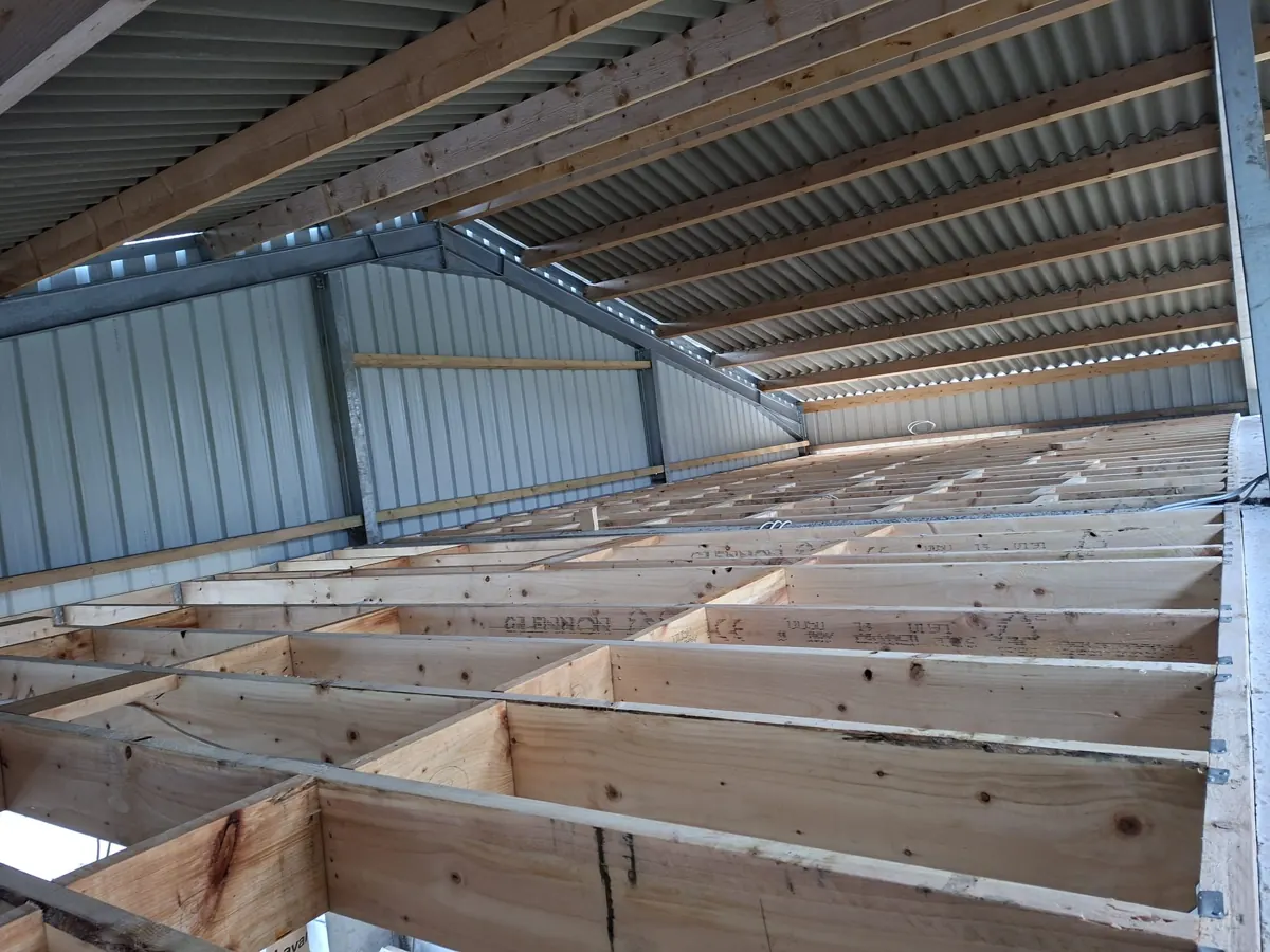 Timber joists and roof carpentry visible beneath a flat roof.