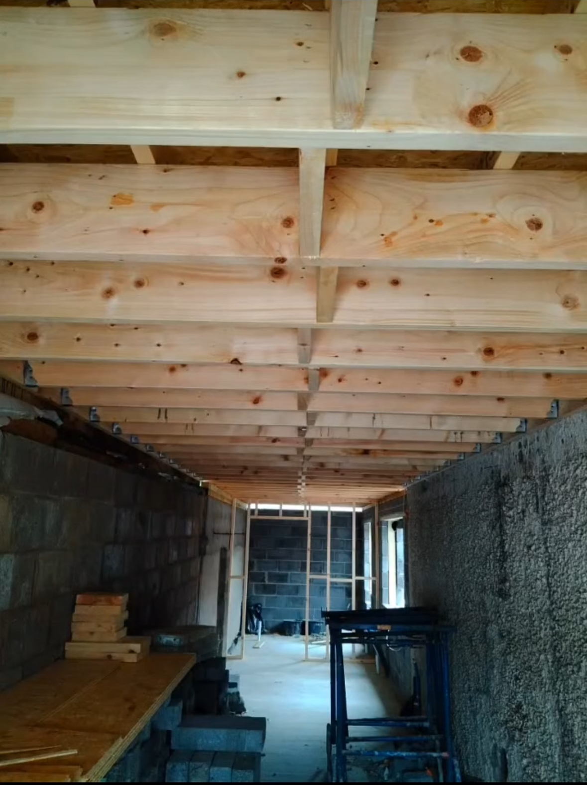 Exposed timber framing and studwork beneath a flat roof.